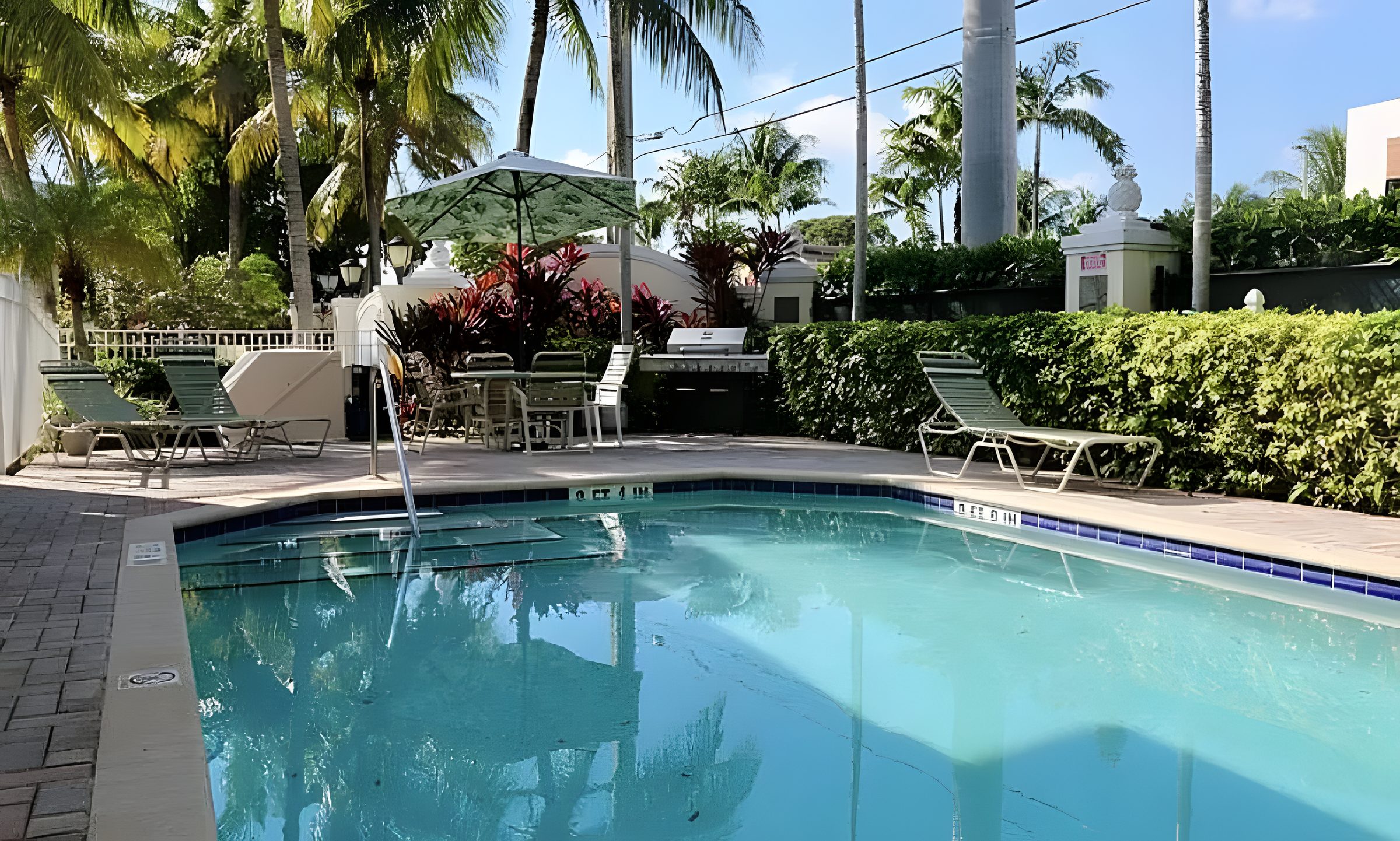 The pool at The Grove, umbrellas and loungers along the deck, hedges around it.